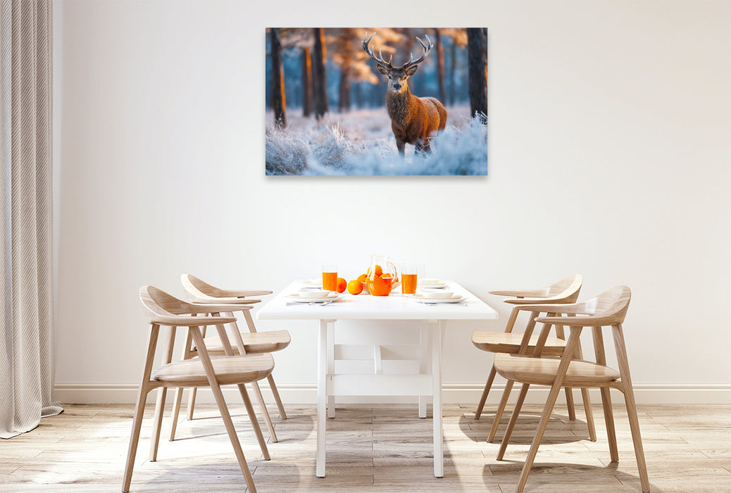 Premium Textil-Leinwand Ein stolzer Hirsch steht im verschneiten Winterwald und wird vom warmen Licht der aufgehenden Sonne erleuchtet.