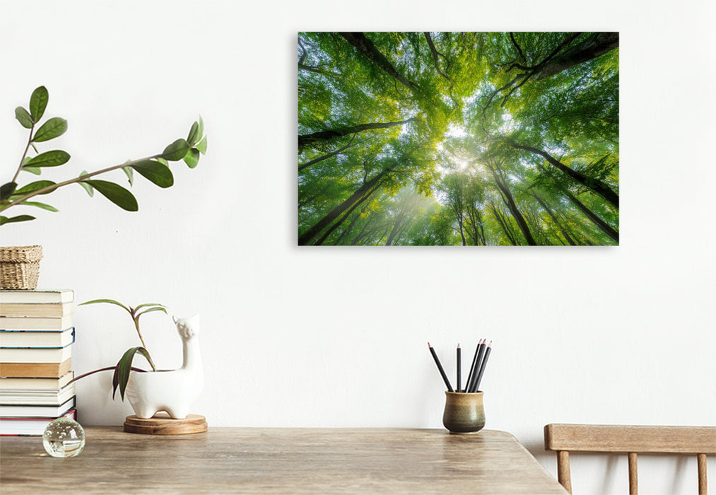 Premium Textil-Leinwand Sonnenstrahlen fallen durch das dichte Blätterdach eines sommerlichen Waldes und schaffen eine Atmosphäre der Ruhe und Entspannung.