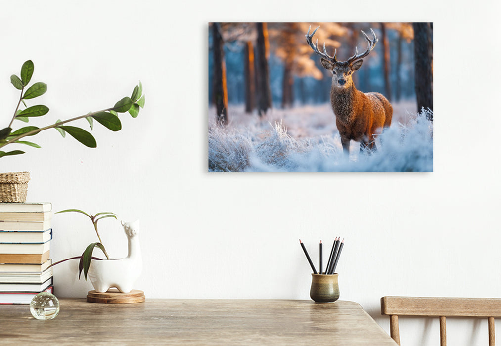 Premium Textil-Leinwand Ein stolzer Hirsch steht im verschneiten Winterwald und wird vom warmen Licht der aufgehenden Sonne erleuchtet.