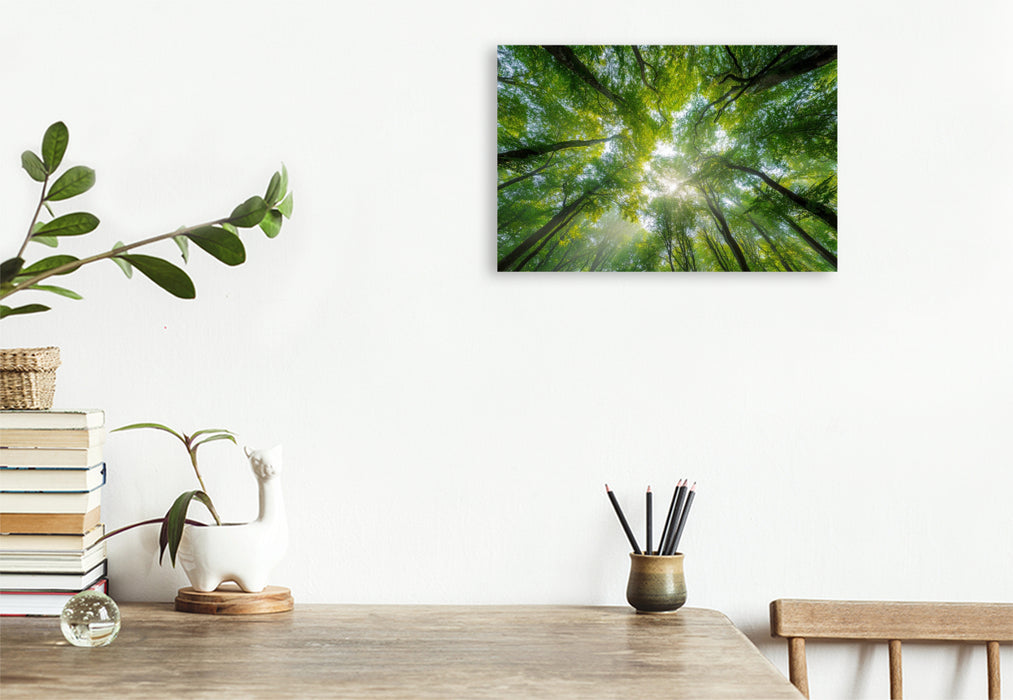 Premium Textil-Leinwand Sonnenstrahlen fallen durch das dichte Blätterdach eines sommerlichen Waldes und schaffen eine Atmosphäre der Ruhe und Entspannung.