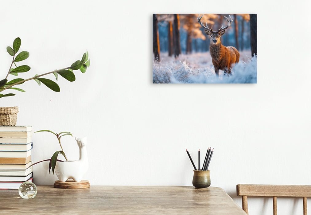 Premium Textil-Leinwand Ein stolzer Hirsch steht im verschneiten Winterwald und wird vom warmen Licht der aufgehenden Sonne erleuchtet.