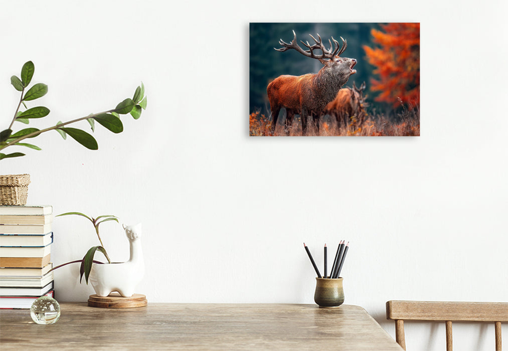 Premium Textil-Leinwand Ein mächtiger Hirsch ruft während der Brunft im herbstlichen Wald und zeigt seine ganze Stärke und Präsenz.