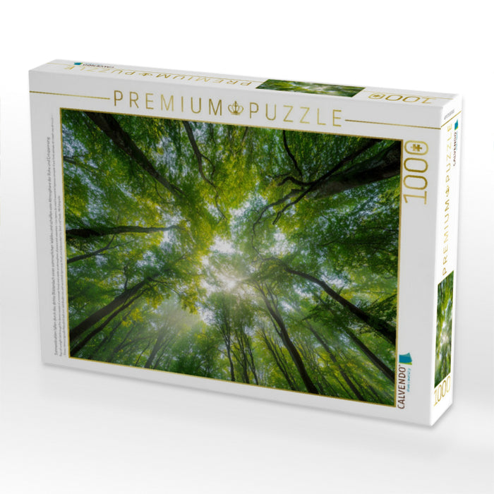 Sonnenstrahlen fallen durch das dichte Blätterdach eines sommerlichen Waldes und schaffen eine Atmosphäre der Ruhe und Entspannung. - CALVENDO Foto-Puzzle'