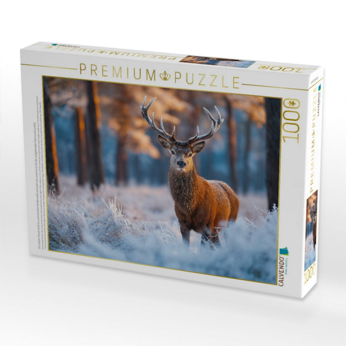 Ein stolzer Hirsch steht im verschneiten Winterwald und wird vom warmen Licht der aufgehenden Sonne erleuchtet. - CALVENDO Foto-Puzzle'