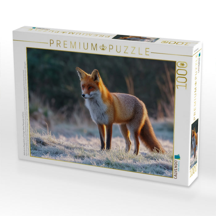 Rotfuchs im Morgenlicht auf frostiger Wiese Tierpuzzle mit Fuchs - CALVENDO Foto-Puzzle'