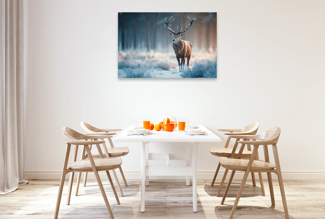 Premium Textil-Leinwand Hirsch im Winterwald - Rotwild im frostigen Morgenlicht