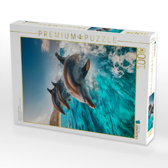 Delfine im türkisblauen Meer - CALVENDO Foto-Puzzle'