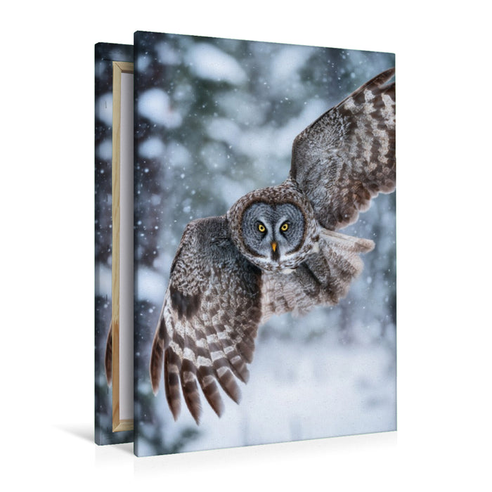 Premium Textil-Leinwand Eule im Flug