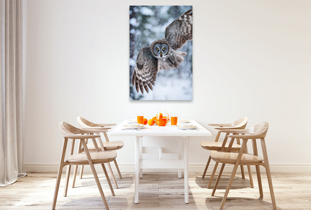 Premium Textil-Leinwand Eule im Flug