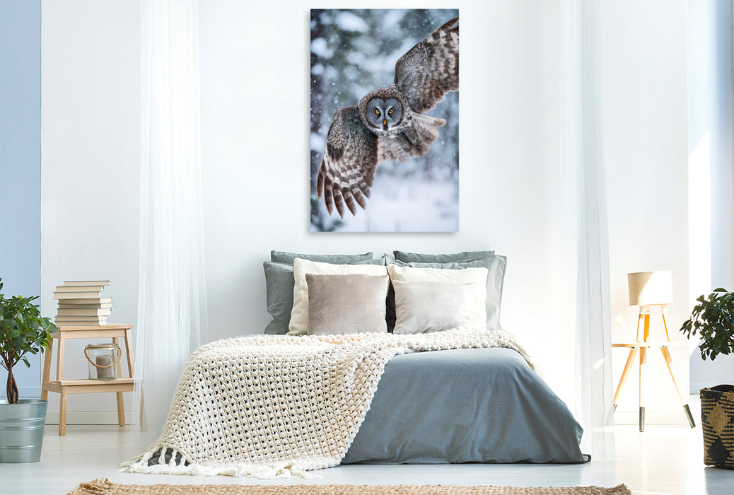 Premium Textil-Leinwand Eule im Flug