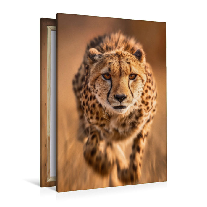 Premium Textil-Leinwand Gepard im Lauf