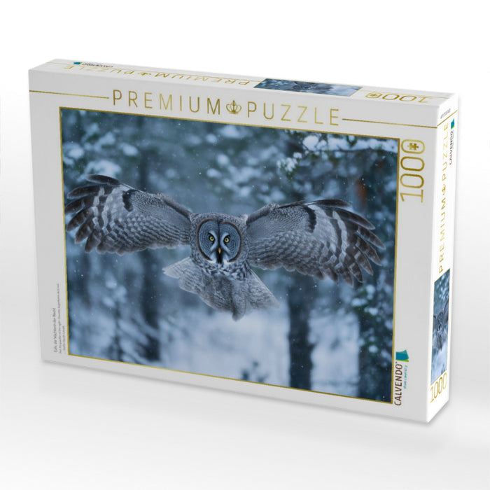 Eule, die Wächterin der Nacht - CALVENDO Foto-Puzzle'