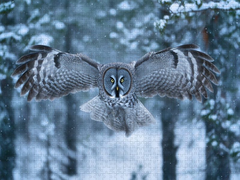 Eule, die Wächterin der Nacht - CALVENDO Foto-Puzzle'