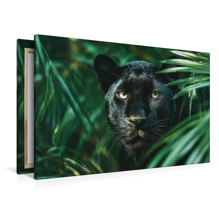 Premium Textil-Leinwand Schwarzer Panther, die Nacht hat Augen