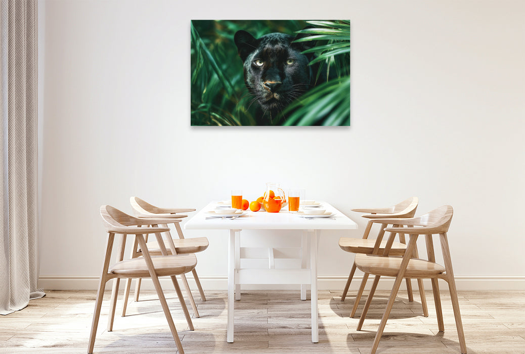 Premium Textil-Leinwand Schwarzer Panther, die Nacht hat Augen