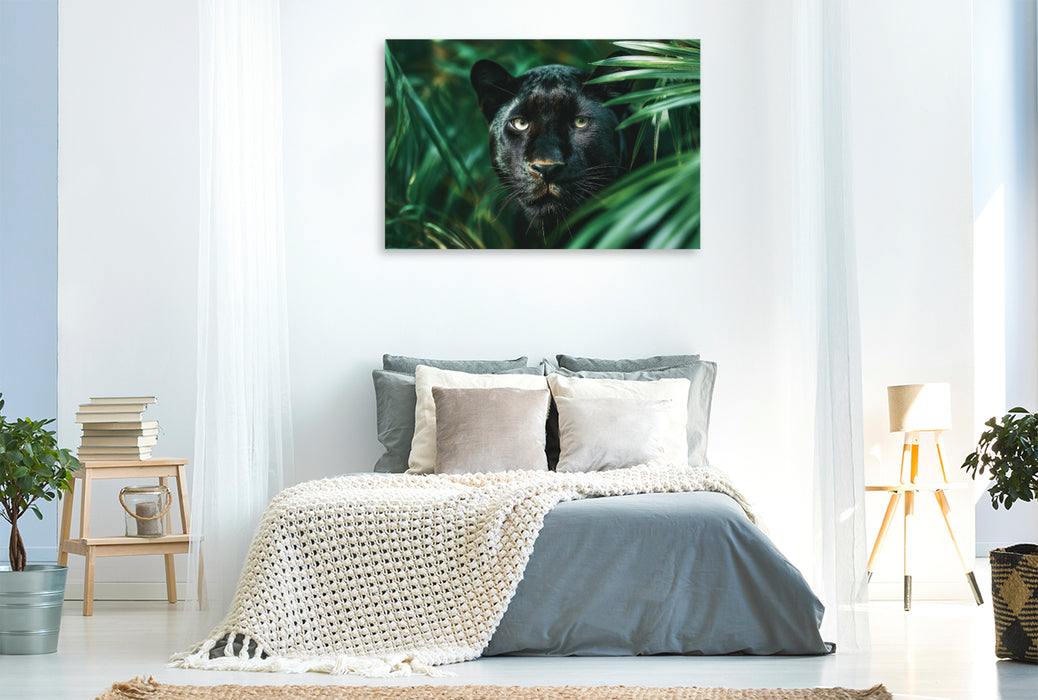 Premium Textil-Leinwand Schwarzer Panther, die Nacht hat Augen