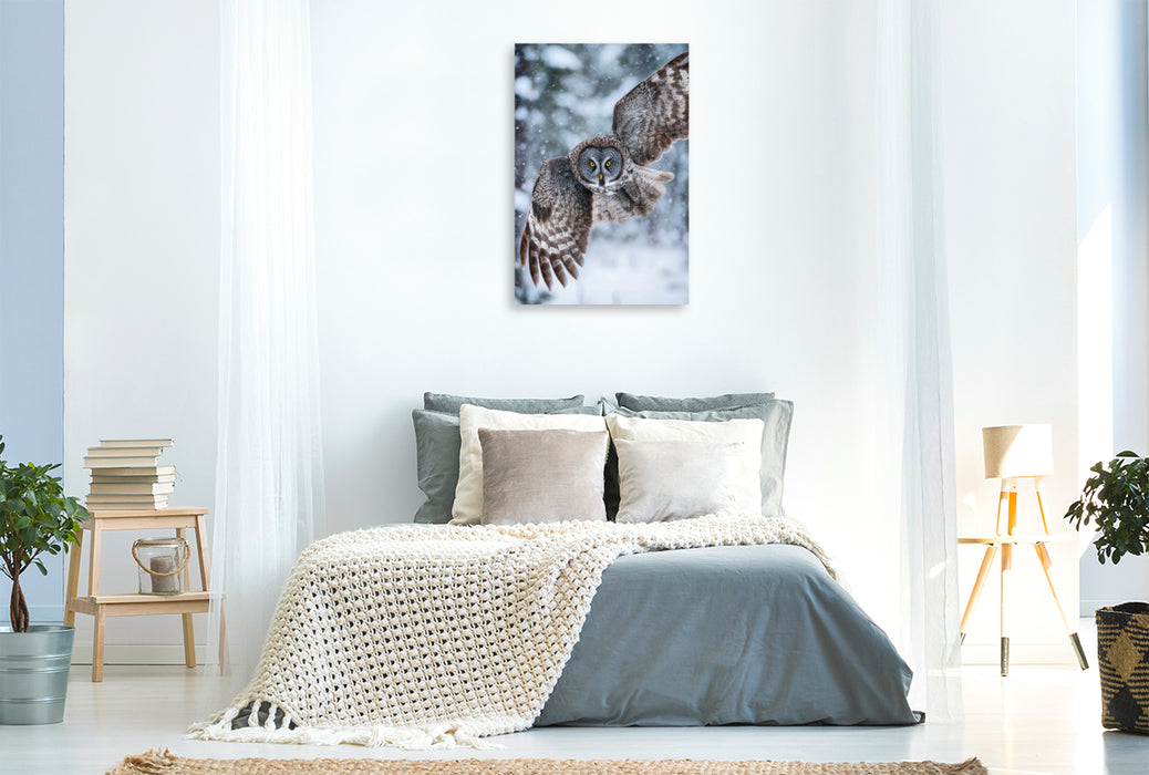 Premium Textil-Leinwand Eule im Flug