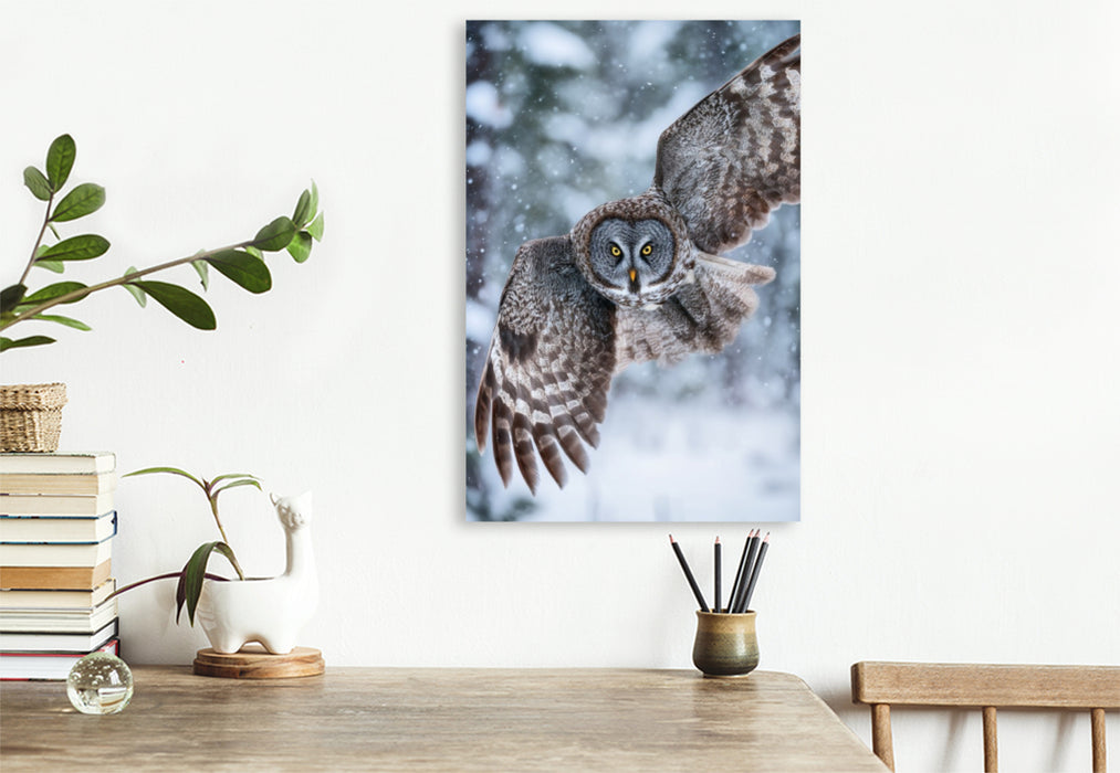 Premium Textil-Leinwand Eule im Flug