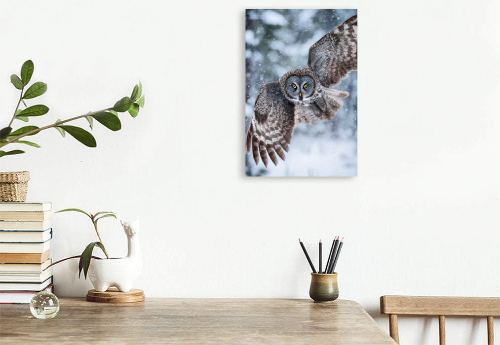 Premium Textil-Leinwand Eule im Flug