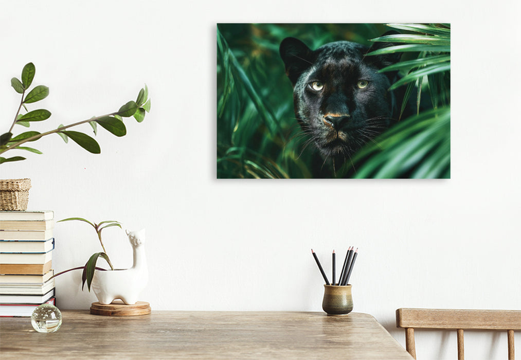 Premium Textil-Leinwand Schwarzer Panther, die Nacht hat Augen