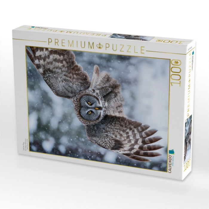Eule im Flug - CALVENDO Foto-Puzzle'