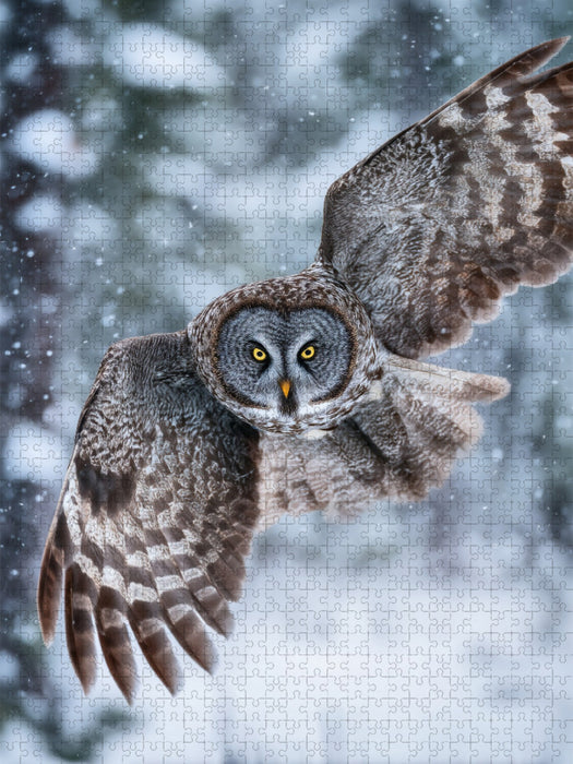 Eule im Flug - CALVENDO Foto-Puzzle'