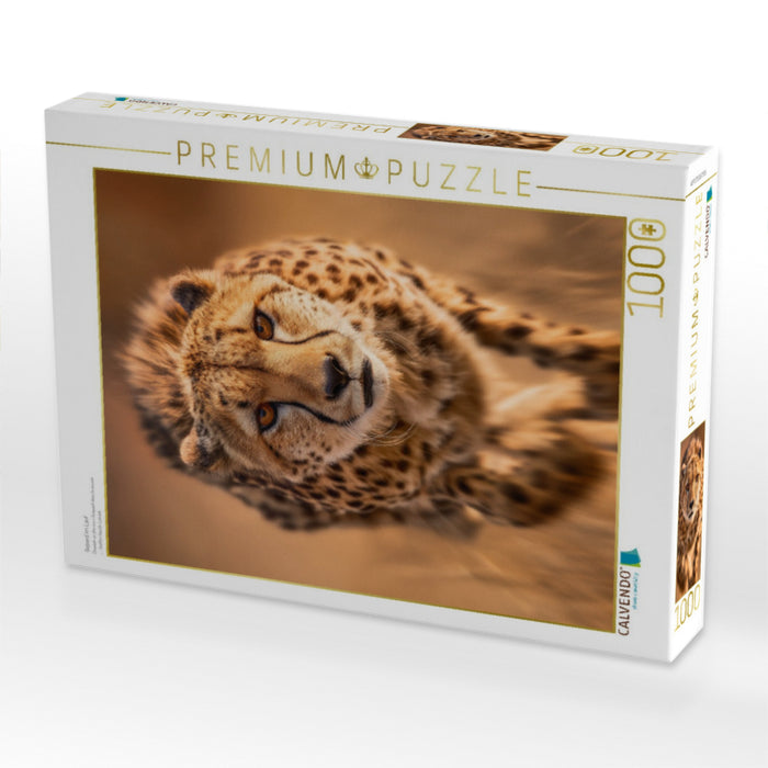 Gepard im Lauf - CALVENDO Foto-Puzzle'