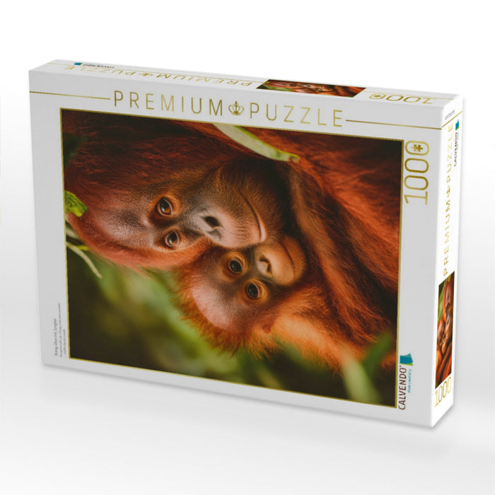Orang-Utan mit Jungtier - CALVENDO Foto-Puzzle'