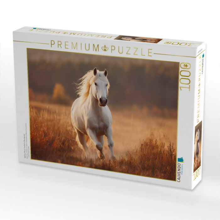 Weißes Pferd, Freiheit in Bewegung - CALVENDO Foto-Puzzle'