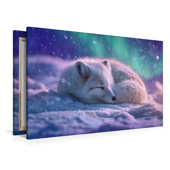 Premium Textil-Leinwand Polarfuchs, in der Stille der Nacht tanzt das Licht