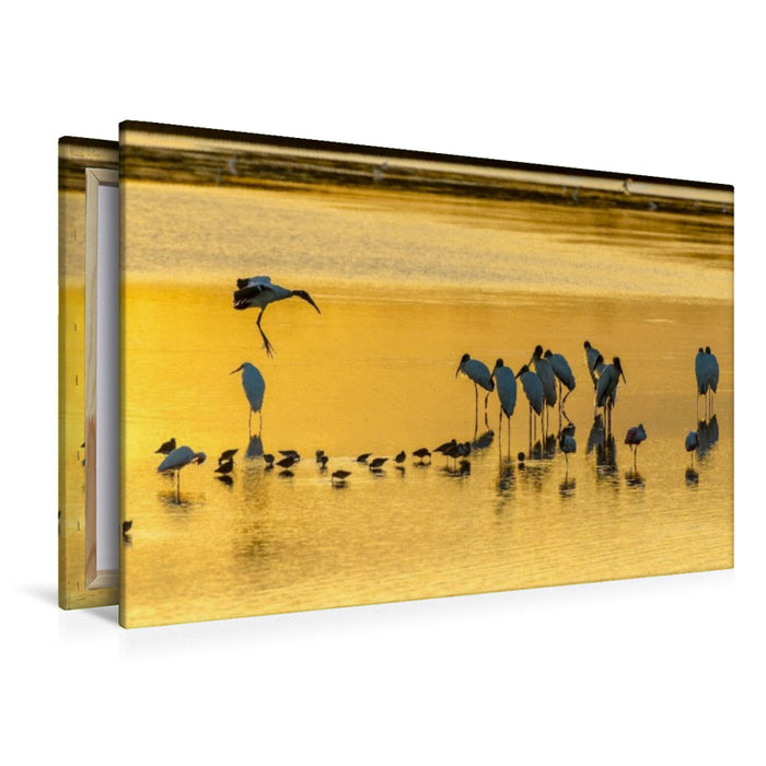 Premium Textil-Leinwand Ein Motiv aus dem Kalender Waldstorch und Anhinga