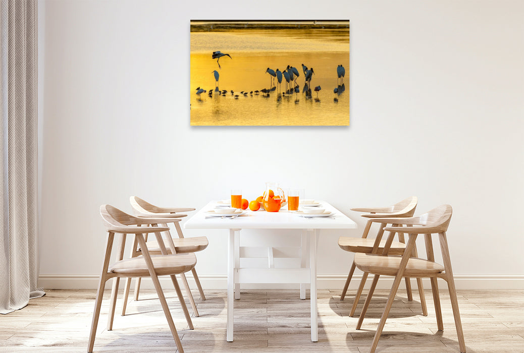 Premium Textil-Leinwand Ein Motiv aus dem Kalender Waldstorch und Anhinga