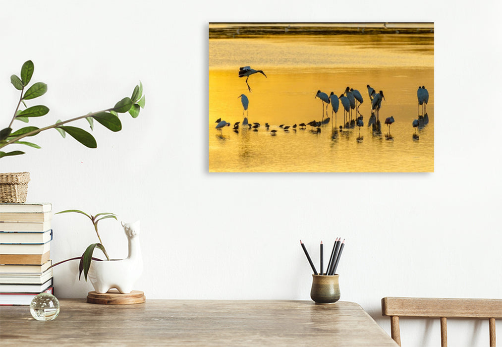 Premium Textil-Leinwand Ein Motiv aus dem Kalender Waldstorch und Anhinga