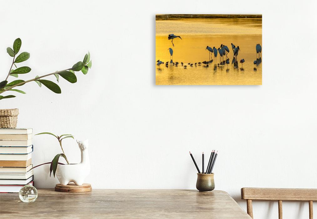 Premium Textil-Leinwand Ein Motiv aus dem Kalender Waldstorch und Anhinga