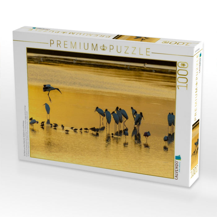 Ein Motiv aus dem Kalender Waldstorch und Anhinga - CALVENDO Foto-Puzzle'