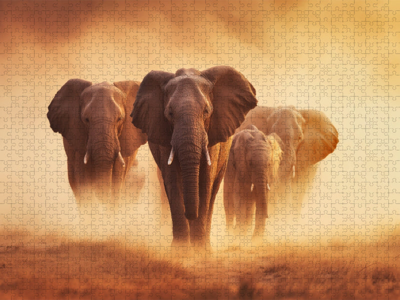 Elefanten, gemeinsam durch das endlose Gold der Sonne - CALVENDO Foto-Puzzle'
