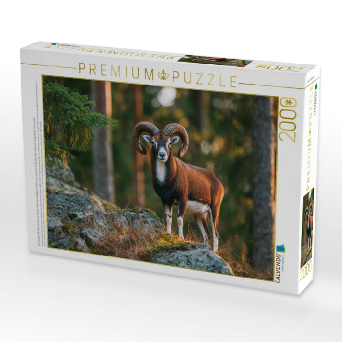 Ein stolzes Mufflon steht auf einem Felsen im Wald und wird vom warmen Licht der Abendsonne beleuchtet, Tierpuzzle - CALVENDO Foto-Puzzle'