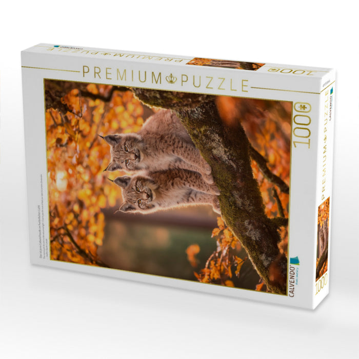 Das ist pure Lebensfreude im herbstlichen Licht - CALVENDO Foto-Puzzle'