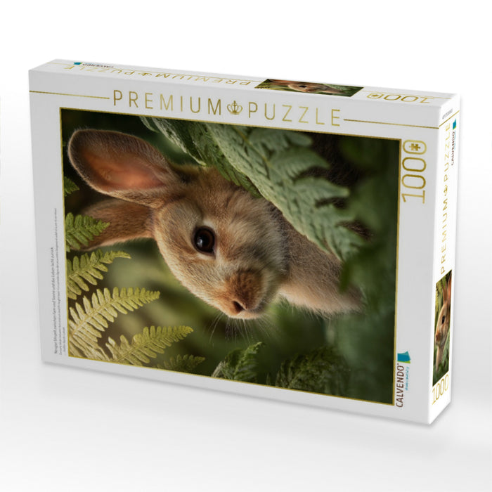 Neugier blinzelt zwischen Farn und Sonne und das Leben lacht zurück - CALVENDO Foto-Puzzle'