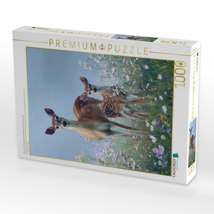 Zart wie der Morgenwind, das Rehkitz tanzt durch den Juni - CALVENDO Foto-Puzzle'