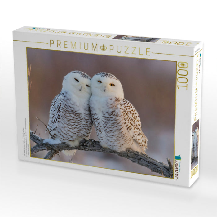 Ein Motiv aus dem Kalender Waldgeflüster - CALVENDO Foto-Puzzle'