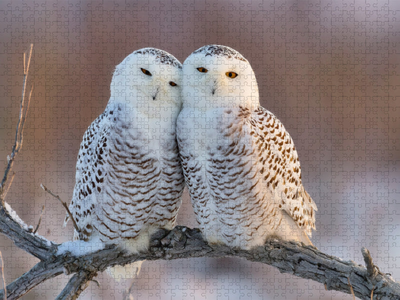 Ein Motiv aus dem Kalender Waldgeflüster - CALVENDO Foto-Puzzle'