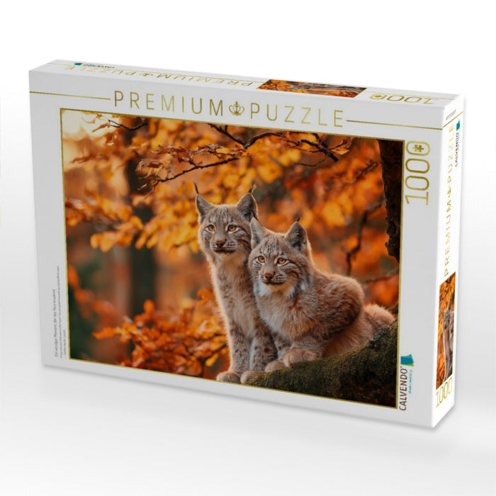 Ein winziger Moment, der das Herz erwärmt - CALVENDO Foto-Puzzle'