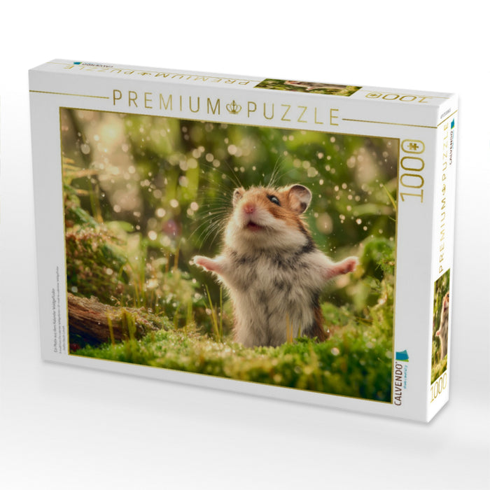 Ein Motiv aus dem Kalender Waldgeflüster - CALVENDO Foto-Puzzle'