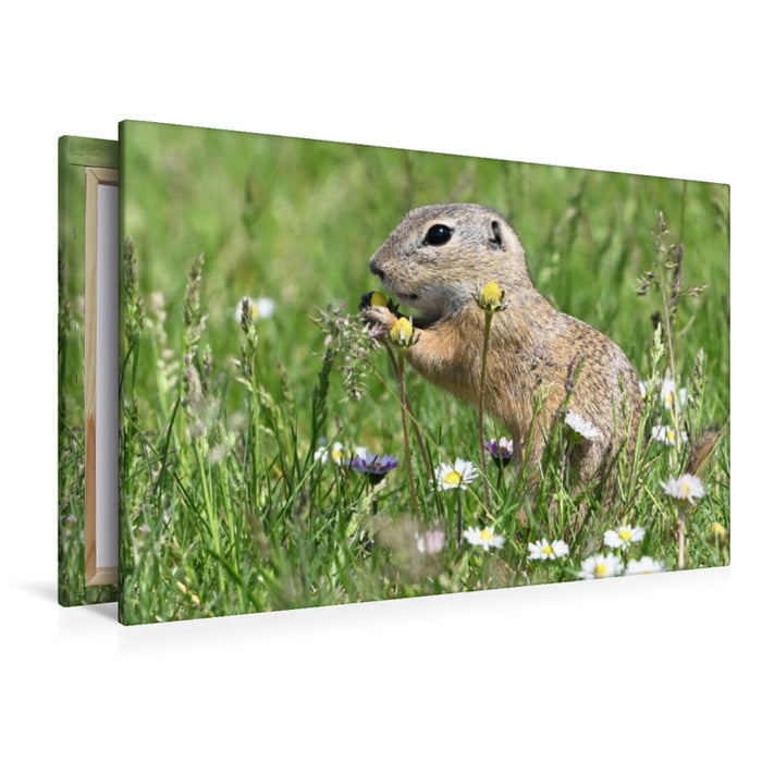 Premium Textil-Leinwand Immer wieder lecker