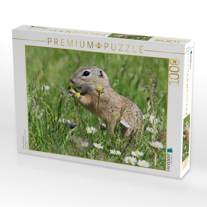 Immer wieder lecker - CALVENDO Foto-Puzzle'