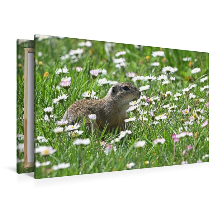 Premium Textil-Leinwand Immer wieder lecker