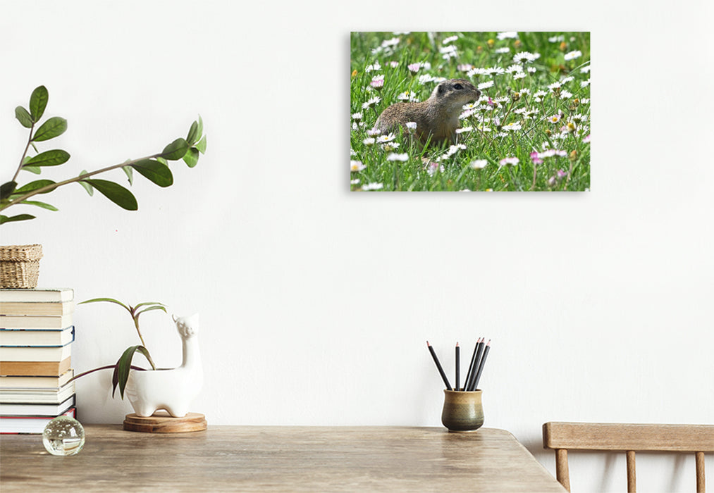 Premium Textil-Leinwand Immer wieder lecker