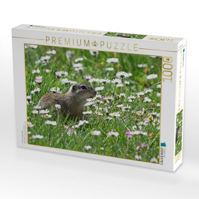 Immer wieder lecker - CALVENDO Foto-Puzzle'