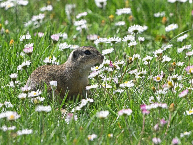 Immer wieder lecker - CALVENDO Foto-Puzzle'
